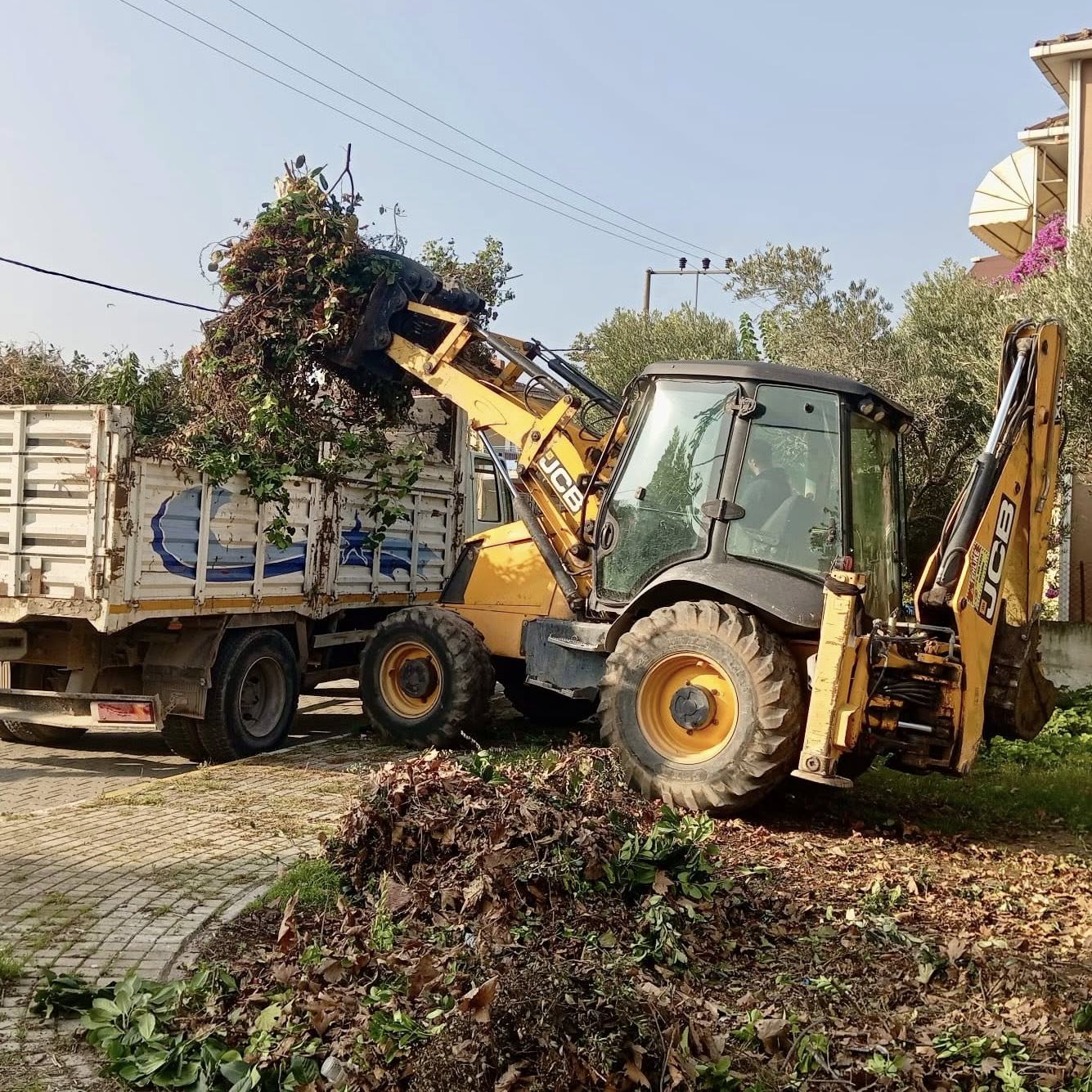 Krfezde Yeil Alanlara Bakm