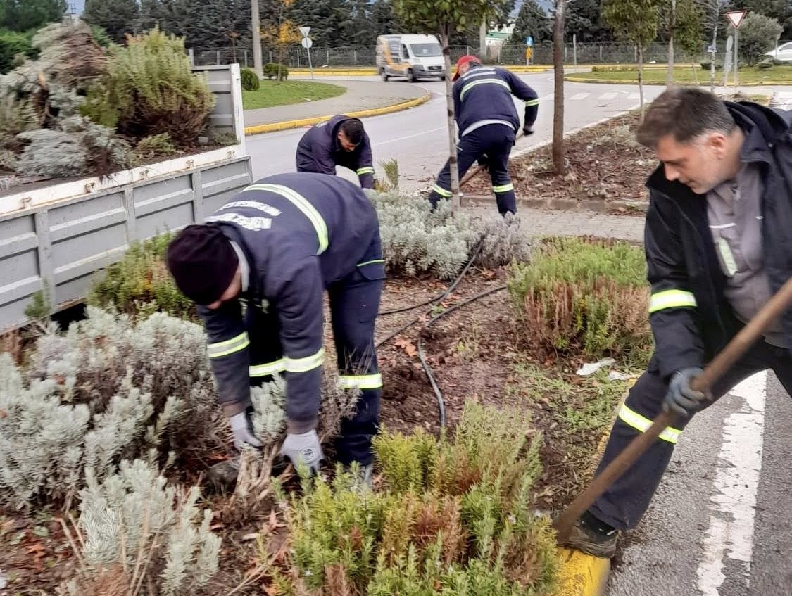 K�rfez K��a �i�eklerle Haz�rlan�yor