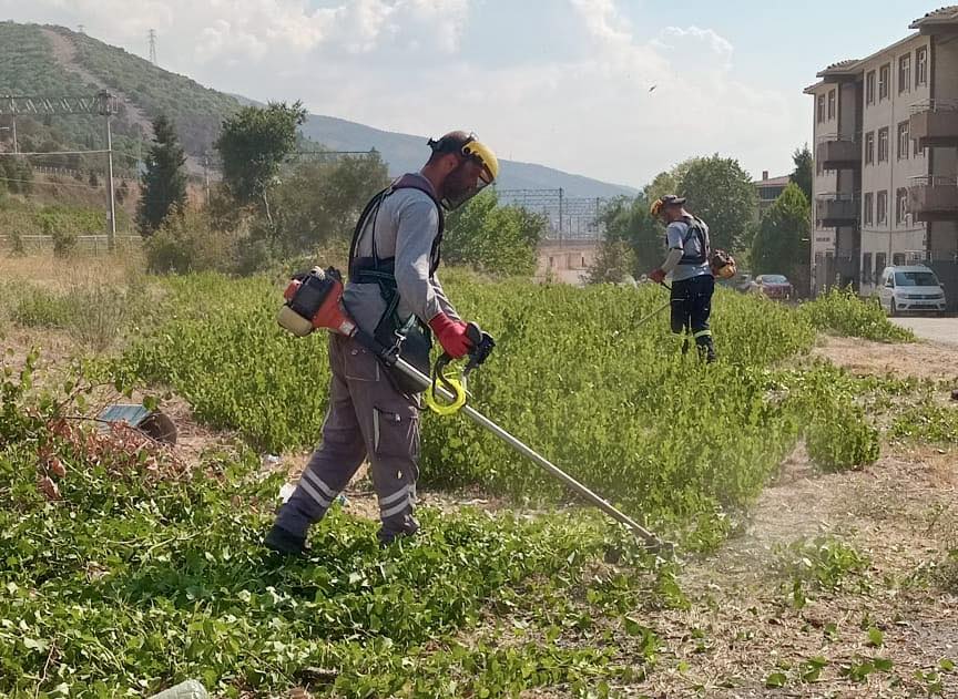 Krfezde Ot Bime ve Temizlik almalar Sryor