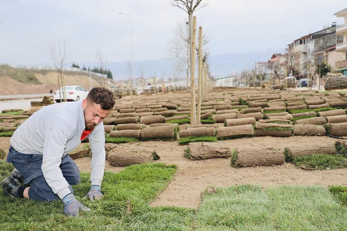 limtepe Yolu Yeillendiriliyor