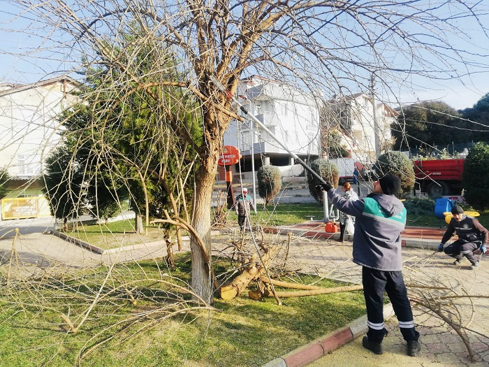 Krfezde Parklara Bakm Yaplyor