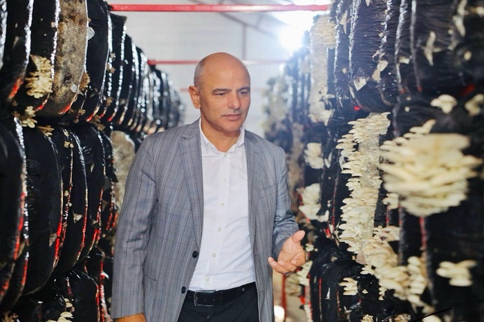 Bitkisel Atklardan Mantar retiliyor