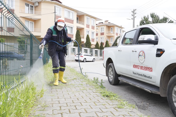 K�rfez�de Yabani Otlara M�dahale