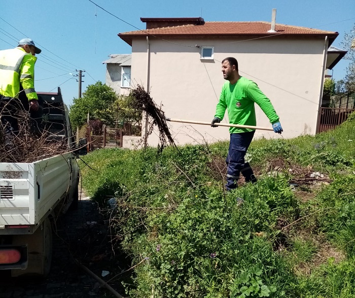 Toplanan Dal Ve Otlar Geri Dntrlyor