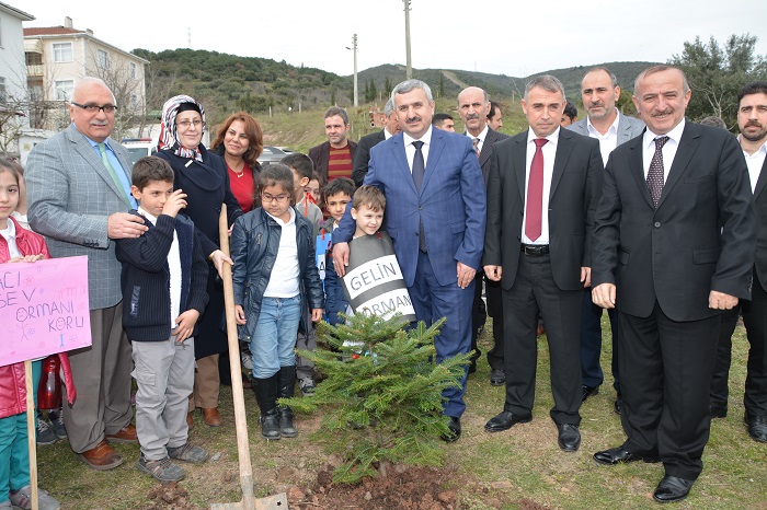 Minik Eller K�rfez�de Fidan Dikti