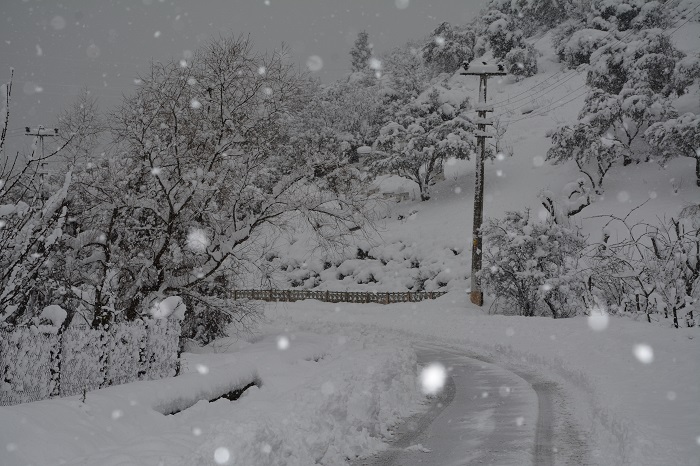 K�rfez Beyaz�a B�r�nd�