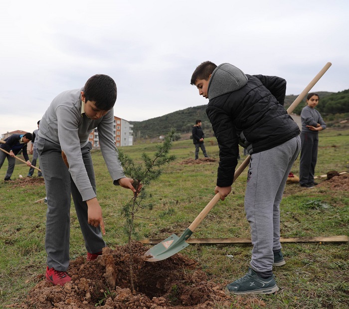 K�rfez�de 30 Bin Fidan Toprakla Bulu�turuldu