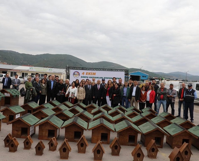 KRFEZDE SOKAK HAYVANLARI UNUTULMADI