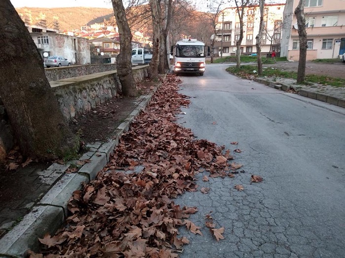Tm almalar, Daha Temiz Bir Krfez in